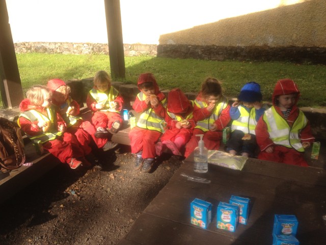 Horses with Coats On