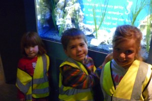 This is some of us inside the Aquarium. Things we liked best were the sharks and the giant turtle.
