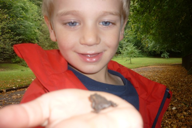 We were out last Friday looking for bugs and we found this baby frog beside the pigeon bridge. We took him back to nursery for a few hours then let him go back to his home. We are learning to respect nature.