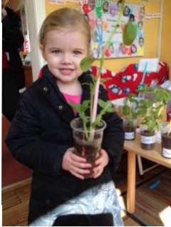 The runner beans that we planted are making reception look like a jungle! So it's time for them to go home and be planted in a garden or a bigger pot. We are looking forward to the day when the beans are ready for eating.
