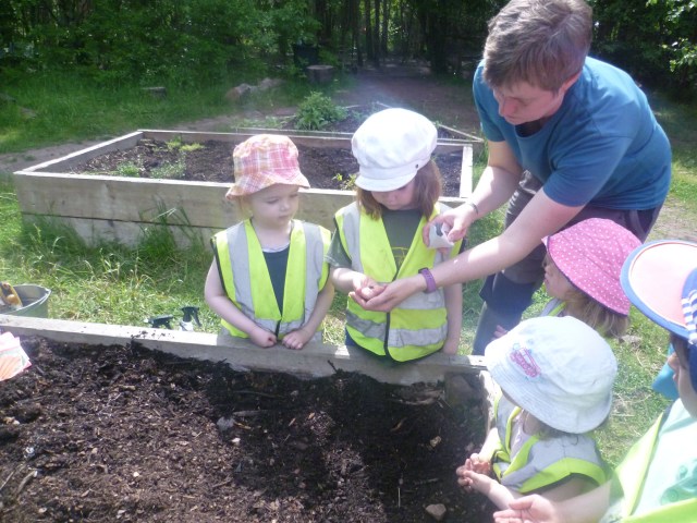 Here we are taking part in an activity organized by the Education Team from the Children's Wood. We had the chance to help plant strawberry plants, tomato plants, lettuce and cabbage.