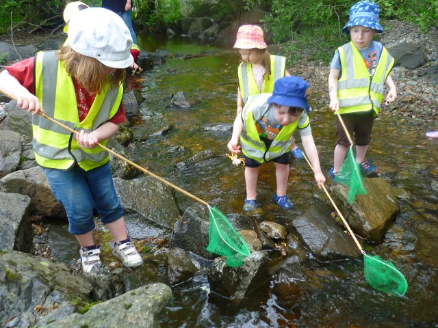 This was our trip last week. This was the trip to Balmaha that Alex and Euan voted for but Heads of Ayr won. So we went here next. What a day we had. Alex was first to spot the sheep with blue bottoms when we were travelling on the bus. when we arrived at our first destination of Balmaha we went out to explore and loved the small park and maze. Brody found sign posts with clues to follow to find an animal tail. Then we found the large frog inside a hole!! After about an hour here we headed up the hill in the bus again to Malarochy Bay where we had our picnic by the stream. We are learning about risk assessment and being as safe as we can so we did not go near the lochside but stayed at the stream. Or in the stream as the photo shows. Sandy was the hero of the day when he caught a fish! Brilliant day with no accidents only 11 very wet children!!