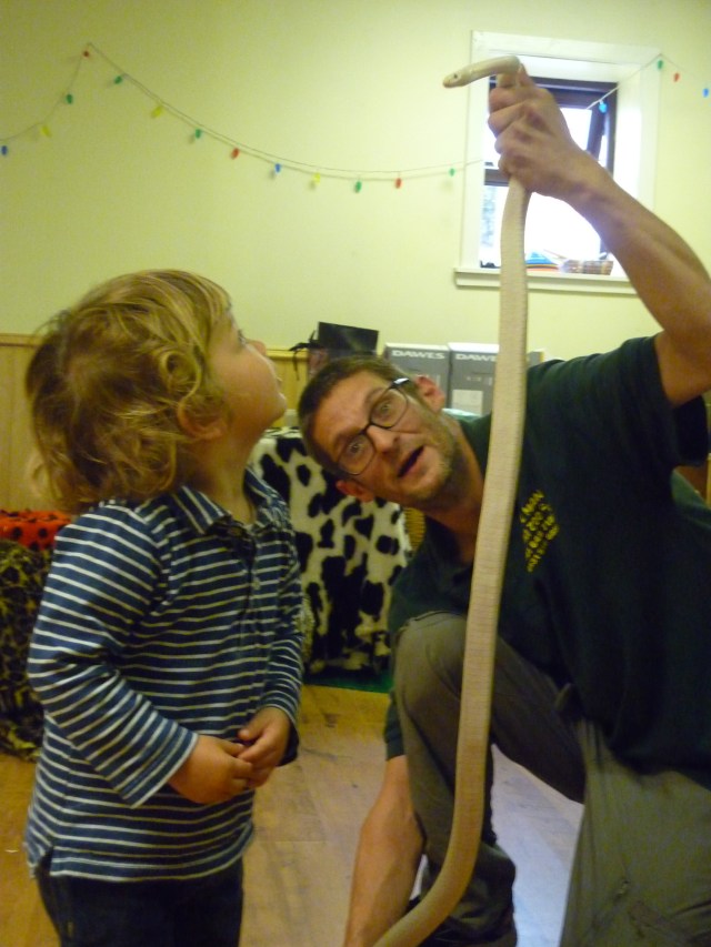 The Animal Man came to nursery last week and brought his mini zoo. This is him teaching the children about corn snakes and holding the snake this way so they could see how long it was!! Great fun. We are learning to develop respect and care for nature and small creatures.